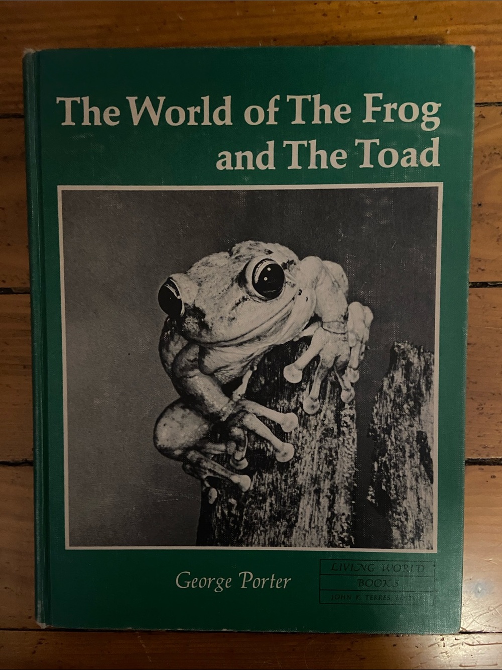 Vintage 60s 1960s NATURE animal PHOTO Frog Toad Green outdoor coffee table book